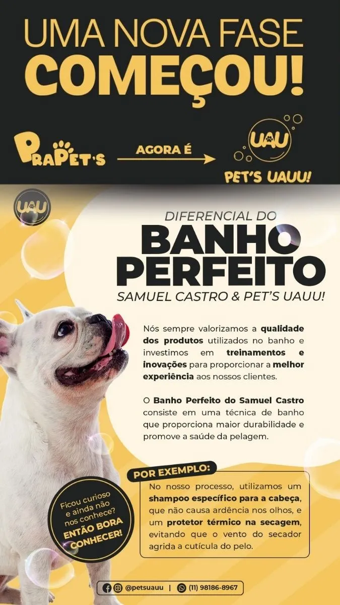 Banho e Tosa em Vargem Grande Paulista