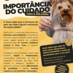 PetShop em Vargem Grande Paulista Jd margarida