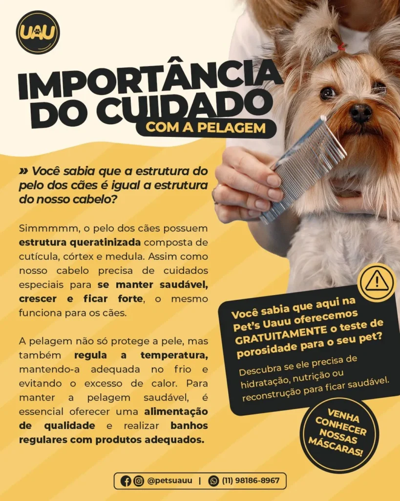 PetShop em Vargem Grande Paulista Jd margarida