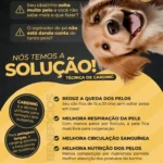 Pets Uauu! Banho e Tosa em Vargem Grande