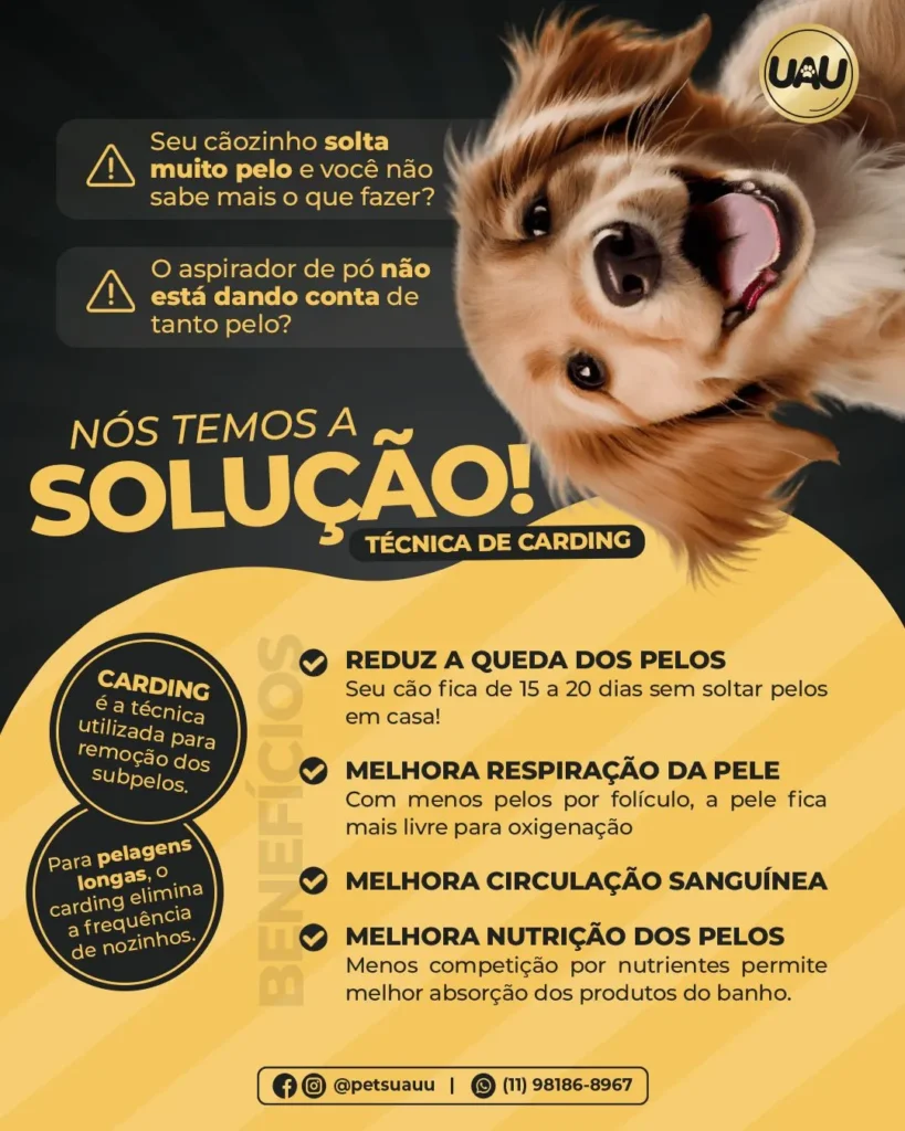 Pets Uauu! Banho e Tosa em Vargem Grande