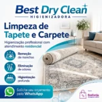 Limpeza de tapete em Cotia
