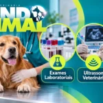 clinica veterinaria em vargen grande paulista mundo animal