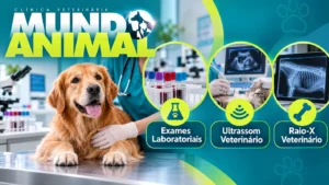 clinica veterinaria em vargen grande paulista mundo animal