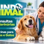 clinica veterinaria em vargen grande paulista mundo animal