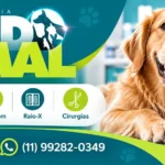 clinica veterinaria em vargen grande paulista mundo animal