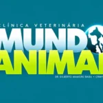 clinica veterinaria em vargen grande paulista mundo animal