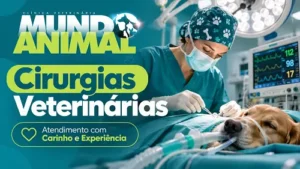 clinica veterinaria em vargen grande paulista mundo animal